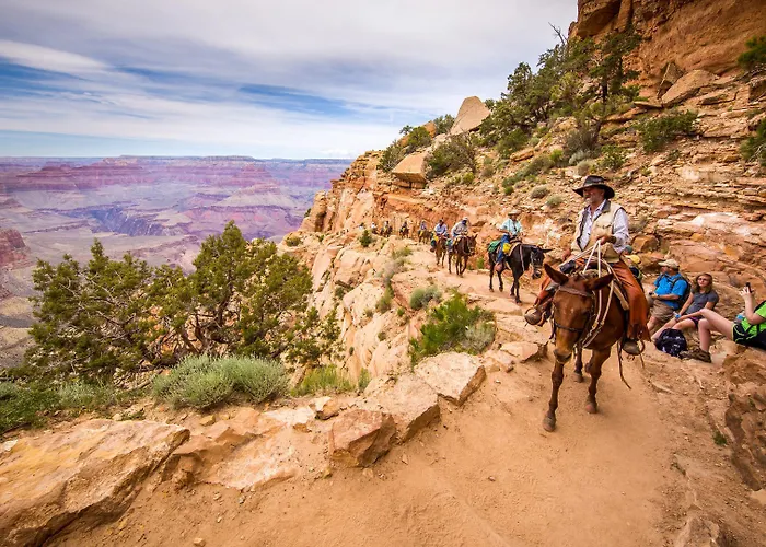 Grand Canyon &
